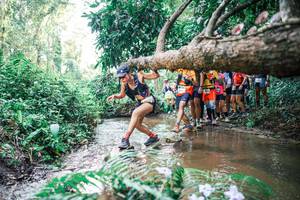 BIB: 
                            <button type="button" onclick="openModal(25472868)" class="btn btn-primary btn-sm float-right btn-popup" data-toggle="modal" data-target=".modal-high-quality">
                        <i class="fas fa-shopping-cart"></i> Add to Cart
                    </button>
                                            <button type="button" onclick="isThisMe(25472868, true)" class="btn btn-success btn-sm float-right btn-popup btn-isme hidden" data-toggle="tooltip" data-placement="bottom" title="นี่คือรูปของคุณใช่ไหม คลิกที่นี่เพื่อเอาเข้าอัลบั้ม">
                        <i class="fas fa-plus"></i> Add to album
                    </button>
                    <button type="button" onclick="isThisMe(25472868, false)" class="btn btn-warning btn-sm float-right btn-popup btn-isnotme hidden">
                        <i class="fas fa-ban"></i> Remove from album
                    </button>